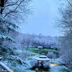 Print of a photo on canvas with sides ready to hang